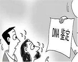 黄山个人DNA亲子鉴定要多少钱，黄山个人DNA亲子鉴定多久能出结果